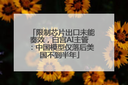 限制芯片出口未能奏效，白宫AI主管：中国模型仅落后美国不到半年