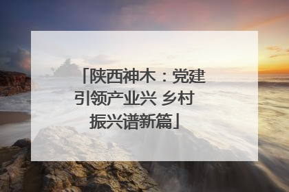 陕西神木：党建引领产业兴 乡村振兴谱新篇