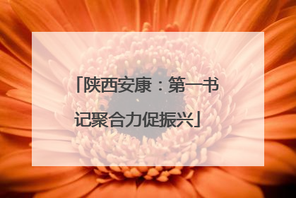 陕西安康：第一书记聚合力促振兴