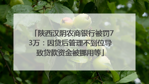 陕西汉阴农商银行被罚73万：因贷后管理不到位导致贷款资金被挪用等
