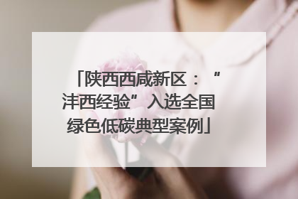 陕西西咸新区：“沣西经验”入选全国绿色低碳典型案例