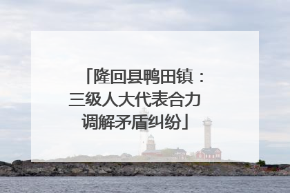 隆回县鸭田镇：三级人大代表合力调解矛盾纠纷
