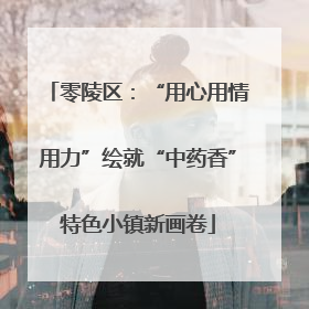 零陵区：“用心用情用力”绘就“中药香”特色小镇新画卷