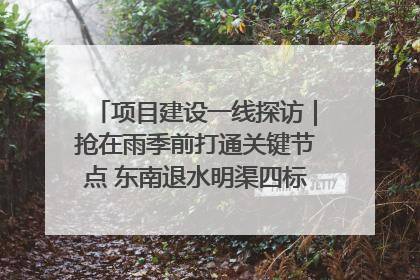 项目建设一线探访｜抢在雨季前打通关键节点 东南退水明渠四标段项目顺利完工