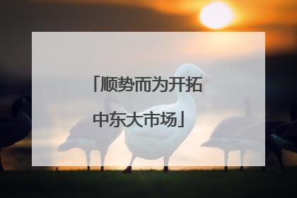 顺势而为开拓中东大市场