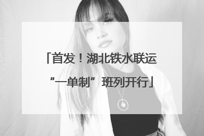 首发！湖北铁水联运“一单制”班列开行