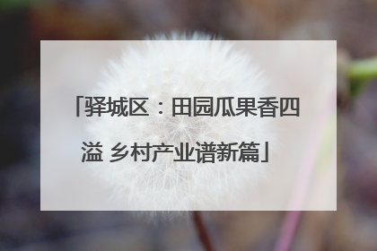 驿城区：田园瓜果香四溢 乡村产业谱新篇