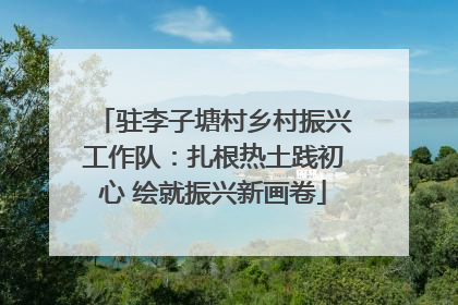 驻李子塘村乡村振兴工作队：扎根热土践初心 绘就振兴新画卷