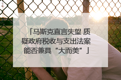马斯克直言失望 质疑政府税收与支出法案能否兼具“大而美”
