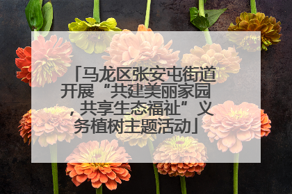 马龙区张安屯街道开展“共建美丽家园，共享生态福祉”义务植树主题活动