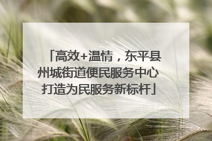 高效+温情，东平县州城街道便民服务中心打造为民服务新标杆