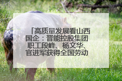 高质量发展看山西国企：晋能控股集团职工段峰、杨文华、官进军获得全国劳动模范荣誉称号