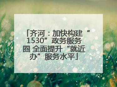 齐河：加快构建“1530”政务服务圈 全面提升“就近办”服务水平