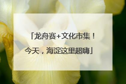 龙舟赛+文化市集！今天，海淀这里超嗨