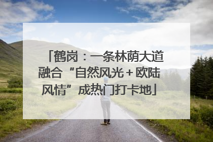 鹤岗：一条林荫大道融合“自然风光＋欧陆风情”成热门打卡地