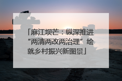 麻江坝芒：纵深推进“两清两改两治理”绘就乡村振兴新图景