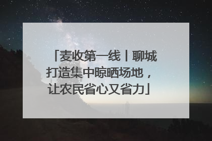 麦收第一线丨聊城打造集中晾晒场地，让农民省心又省力