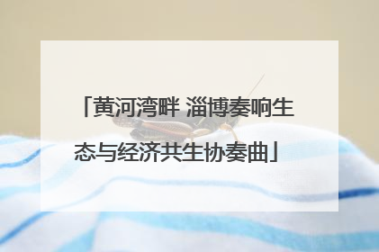 黄河湾畔 淄博奏响生态与经济共生协奏曲