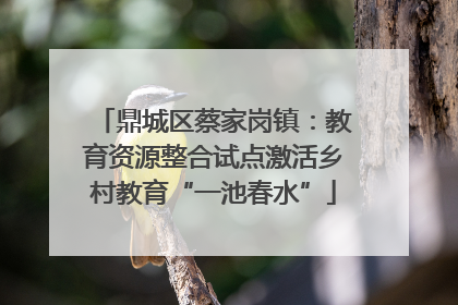 鼎城区蔡家岗镇：教育资源整合试点激活乡村教育“一池春水”