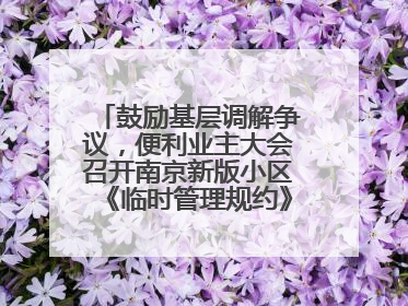 鼓励基层调解争议，便利业主大会召开南京新版小区《临时管理规约》征求意见