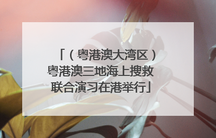 （粤港澳大湾区）粤港澳三地海上搜救联合演习在港举行