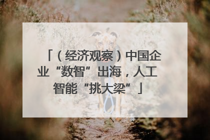 (经济观察)中国企业“数智”出海,人工智能“挑大梁”