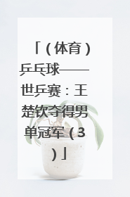 （体育）乒乓球——世乒赛：王楚钦夺得男单冠军（3）