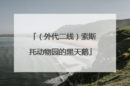 （外代二线）索斯托动物园的黑天鹅