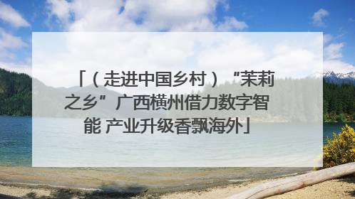 （走进中国乡村）“茉莉之乡”广西横州借力数字智能 产业升级香飘海外