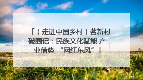 （走进中国乡村）茗新村破圈记：民族文化赋能 产业借势 “网红东风”