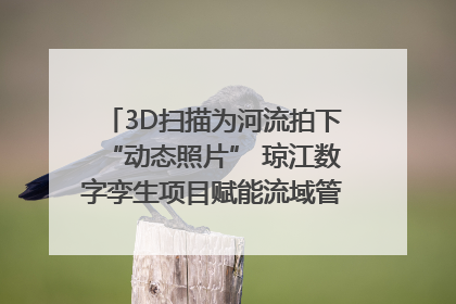 3D扫描为河流拍下“动态照片” 琼江数字孪生项目赋能流域管理｜新闻发布最前线
