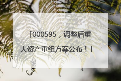 000595，调整后重大资产重组方案公布！