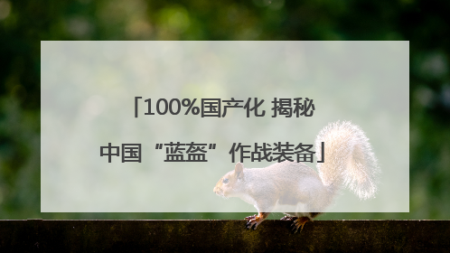 100%国产化 揭秘中国“蓝盔”作战装备