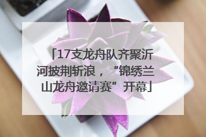 17支龙舟队齐聚沂河披荆斩浪，“锦绣兰山龙舟邀请赛”开幕