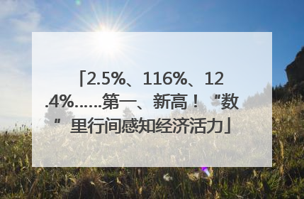 2.5%、116%、12.4%……第一、新高！“数”里行间感知经济活力