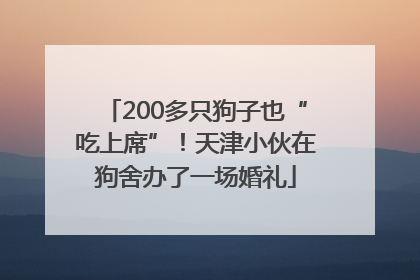 200多只狗子也“吃上席”！天津小伙在狗舍办了一场婚礼