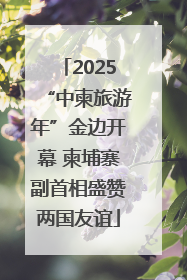 2025“中柬旅游年”金边开幕 柬埔寨副首相盛赞两国友谊