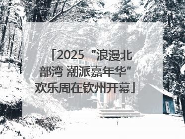 2025“浪漫北部湾 潮派嘉年华”欢乐周在钦州开幕