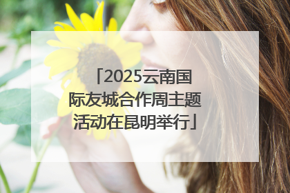 2025云南国际友城合作周主题活动在昆明举行