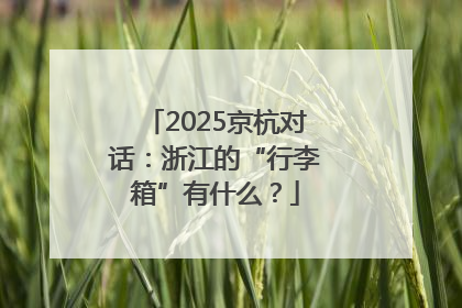 2025京杭对话：浙江的“行李箱”有什么？