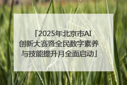 2025年北京市AI创新大赛暨全民数字素养与技能提升月全面启动
