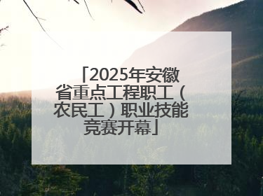 2025年安徽省重点工程职工（农民工）职业技能竞赛开幕