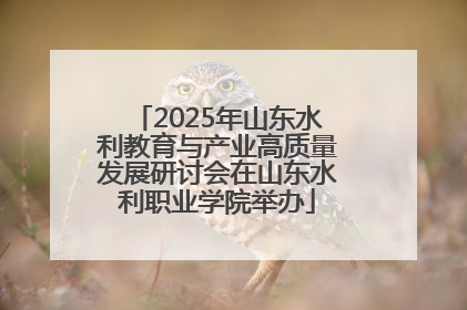 2025年山东水利教育与产业高质量发展研讨会在山东水利职业学院举办