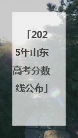 2025年山东高考分数线公布