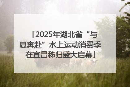 2025年湖北省“与夏奔赴”水上运动消费季在宜昌秭归盛大启幕