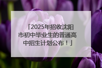 2025年招收沈阳市初中毕业生的普通高中招生计划公布！