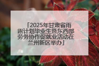 2025年甘肃省雨露计划毕业生暨东西部劳务协作促就业活动在兰州新区举办