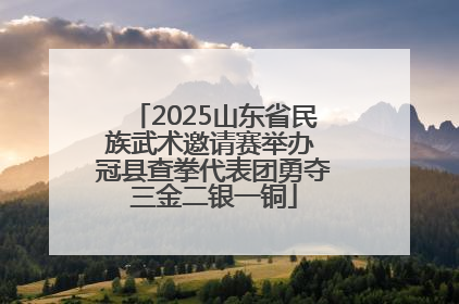 2025山东省民族武术邀请赛举办 冠县查拳代表团勇夺三金二银一铜