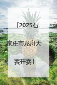 2025石家庄市龙舟大赛开赛