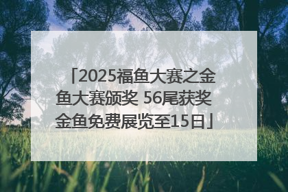 2025福鱼大赛之金鱼大赛颁奖 56尾获奖金鱼免费展览至15日